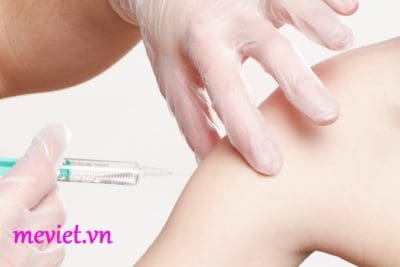 Viêm Não Nhật Bản Là Gì? Chích Ngừa Viêm Não Nhật Bản