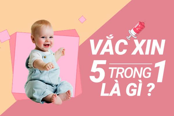 vac xin 5 trong 1 la gi