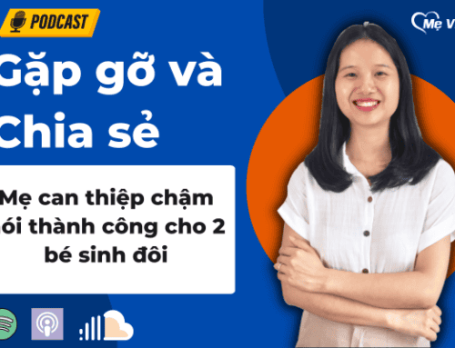 Mẹ can thiệp chậm nói thành công cho 2 bé sinh đôi (chậm đơn thuần và rối loạn phổ tự kỷ)